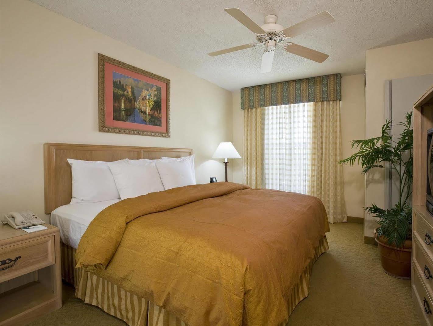 Homewood Suites By Hilton Austin South Номер фото